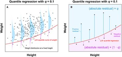 Age- and height-dependent bias of underweight and overweight assessment standards for children and adolescents